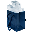 Holiday Gift Bag